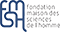 logo fMSH